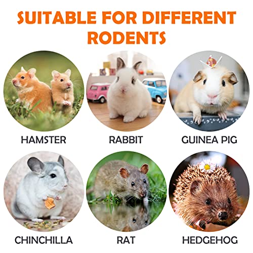 Labeol Rabbit Chew Toys 32 Pcs Timothy Hay Sticks Natural Small Animals Treat for Rabbits Guinea Pig Hamsters Chinchilla Rabbit Accessories Boredom Breaker