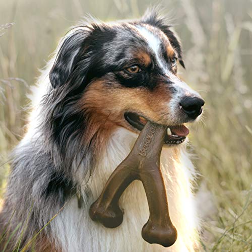 Benebone Indestructible Wishbone Dog Chew Toy for Aggressive Chewers, Long Lasting Tough Boredom Breaker for Dogs, Real Bacon Flavour, For Medium Dogs