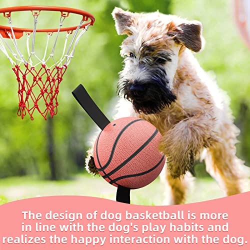 HETOO Dog Toys, Interactive Dog Football Toys with Grab Tabs, Durable Dog Balls for Small Medium Breed Dog Water Toy Indoor & Outdoor, Gift for Dogs