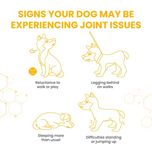Vetzyme | High Strength Flexible Joint Supplements for Senior Dogs | Hip & Joint Care Tablets | Tasty Chicken Treats with Glucosamine & Omega 3, 90 Count