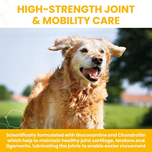 Vetzyme | High Strength Flexible Joint Supplements for Senior Dogs | Hip & Joint Care Tablets | Tasty Chicken Treats with Glucosamine & Omega 3, 90 Count