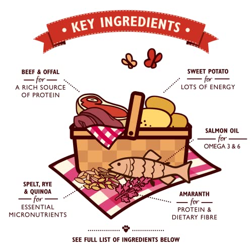 Lily's Kitchen Natural Adult Dry Dog Food Chicken & Duck Grain-Free Recipe