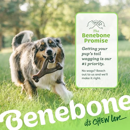 Benebone Indestructible Wishbone Dog Chew Toy for Aggressive Chewers, Long Lasting Tough Boredom Breaker for Dogs, Real Bacon Flavour, For Medium Dogs