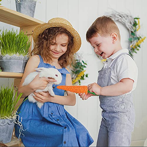 Labeol Rabbit Chew Toys 32 Pcs Timothy Hay Sticks Natural Small Animals Treat for Rabbits Guinea Pig Hamsters Chinchilla Rabbit Accessories Boredom Breaker