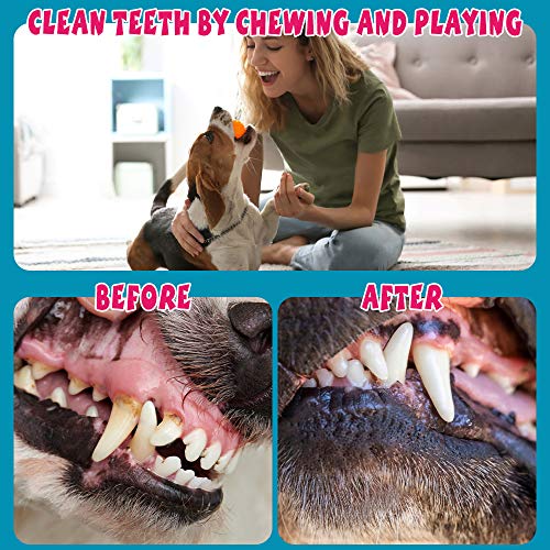 Labeol Puppy Chew Toys from 8 Weeks Small Puppy Natural Cotton Interactive 10Pcs Indestructible Tough Dog Rope Toys for Strong Dogs