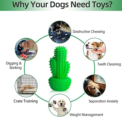 RUCACIO Dog Chew Toys, Tough Durable Dog Toothbrush Toys, Outdoor Interactive Dog Toys Dogs Dental Care Teeth Cleaning Toy, Puppy Dog Birthday Gifts