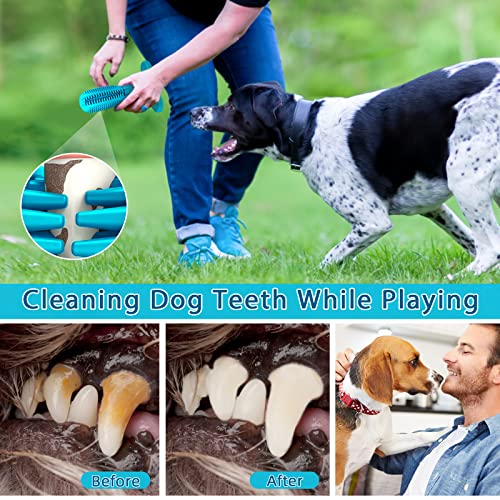 RUCACIO Dog Chew Toys, Tough Durable Dog Toothbrush Toys, Outdoor Interactive Dog Toys Dogs Dental Care Teeth Cleaning Toy, Puppy Dog Birthday Gifts