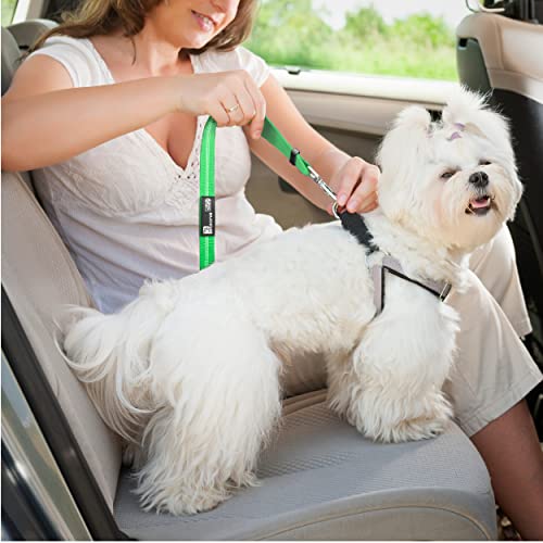 Seat Belt for dogs with Anti shock Bungee Buffer One of Important Car Travel Accessories for Dogs Adjustible, Elastic