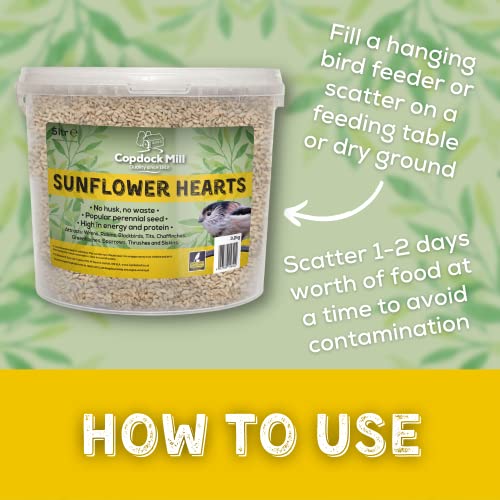 Copdock Mill Sunflower Hearts Bird Food 3.2kg / 5L Tub – No Mess Sunflower Hearts for Wild Birds – Bird Seed Suitable for Sunflower Seeds Feeders & Bird Tables