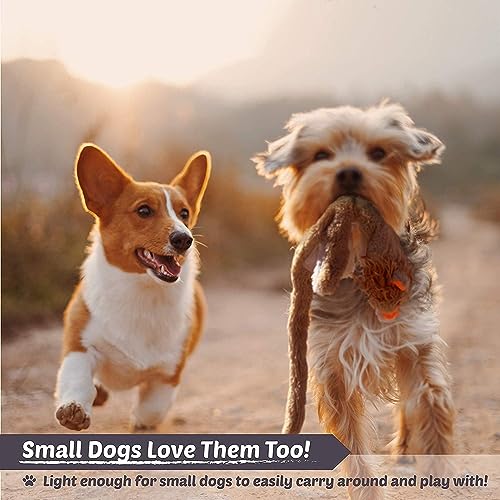Newthinking No Stuffing Dog Toys, 5 Pack Dog Squeaky Toys, Durable Plush Dog Toys for Large Medium Small Dog