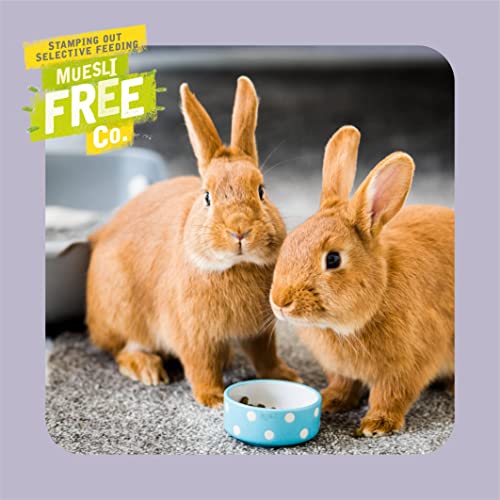 Excel Burgess Indoor Rabbit Nuggets