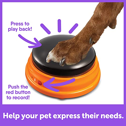 Hunger for Words Talking Pet Starter Set, Recordable Buttons for Dogs, Talking Dog Buttons, Teach Your Dog to Talk
