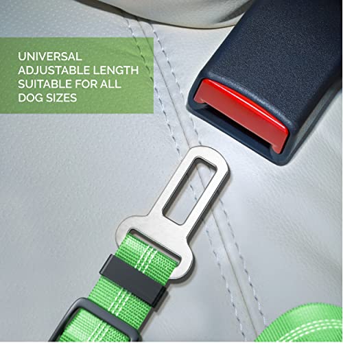 Seat Belt for dogs with Anti shock Bungee Buffer One of Important Car Travel Accessories for Dogs Adjustible, Elastic