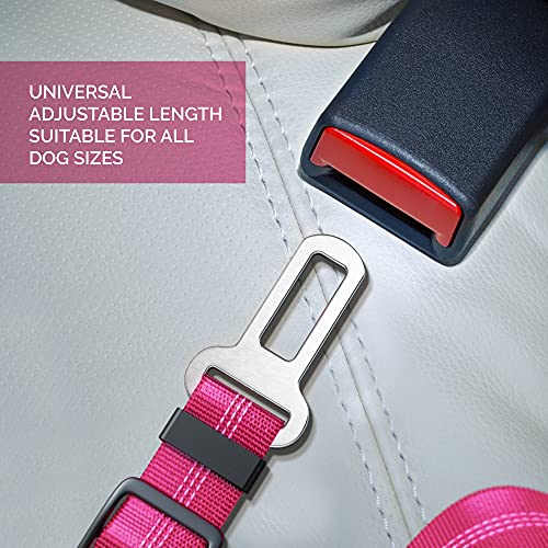Seat Belt for dogs with Anti shock Bungee Buffer One of Important Car Travel Accessories for Dogs Adjustible, Elastic