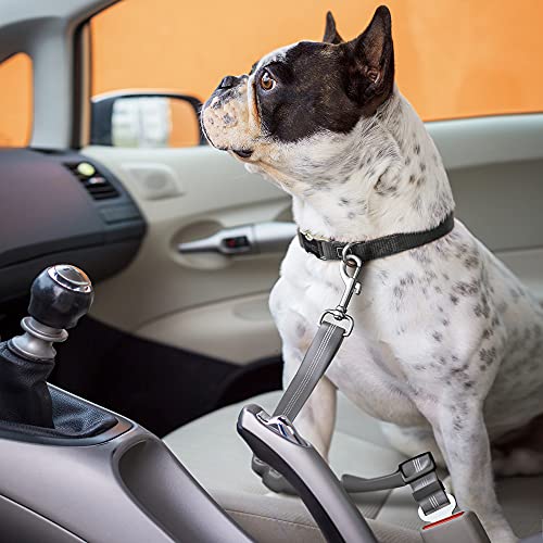Seat Belt for dogs with Anti shock Bungee Buffer One of Important Car Travel Accessories for Dogs Adjustible, Elastic