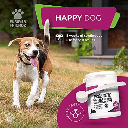 Pet Probiotics for Dogs Tablet – Chicken Flavour Dog Digestive Supplements with Enzymes, Bromelain & Prebiotic for Dogs – No Gluten, GMO, Soy or Dairy – Dog Probiotic by Furever Friendz