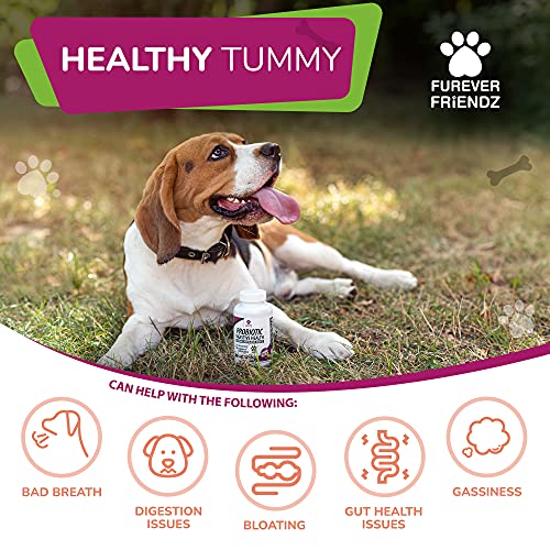 Pet Probiotics for Dogs Tablet – Chicken Flavour Dog Digestive Supplements with Enzymes, Bromelain & Prebiotic for Dogs – No Gluten, GMO, Soy or Dairy – Dog Probiotic by Furever Friendz