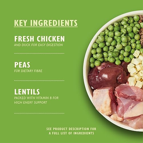 Lily's Kitchen Natural Adult Dry Dog Food Chicken & Duck Grain-Free Recipe
