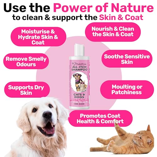 NutriPaw All-Itch Immunity Treats For Dogs - Soothe Itchy Paws, Eyes, Ears, Skin - Stop Itching, Licking, Scratching - Perfect for Small, Medium & Large Dogs - Supports Seasonal Itching