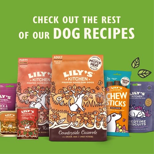 Lily's Kitchen Natural Adult Dry Dog Food Chicken & Duck Grain-Free Recipe