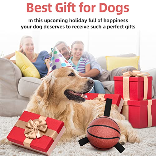 HETOO Dog Toys, Interactive Dog Football Toys with Grab Tabs, Durable Dog Balls for Small Medium Breed Dog Water Toy Indoor & Outdoor, Gift for Dogs