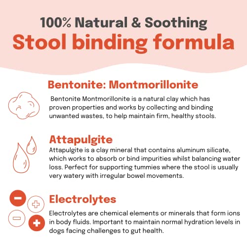 Buddy & Lola Fast-Acting Dog Diarrhea Treatment with Electrolytes - 20 Servings - Tummy Settler For Dogs All Breeds, Sizes and Ages - Syringe Included