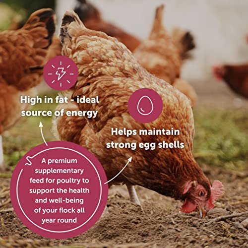 Copdock Mill Mixed Corn Chicken Feed with Verm-X 5L Tub - Chicken Food Made with Wheat & Maize - Verm-X Herbal Chicken Wormer - Suitable for Poultry, Ducks, Geese & Bantams