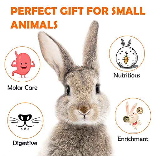 Labeol Rabbit Chew Toys 32 Pcs Timothy Hay Sticks Natural Small Animals Treat for Rabbits Guinea Pig Hamsters Chinchilla Rabbit Accessories Boredom Breaker