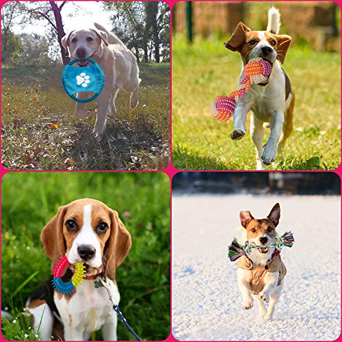 Labeol Puppy Chew Toys from 8 Weeks Small Puppy Natural Cotton Interactive 10Pcs Indestructible Tough Dog Rope Toys for Strong Dogs