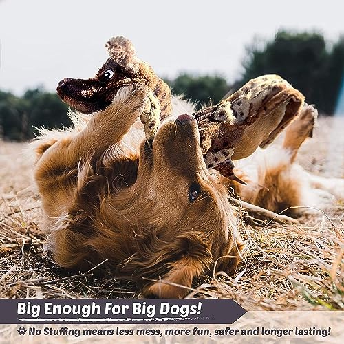 Newthinking No Stuffing Dog Toys, 5 Pack Dog Squeaky Toys, Durable Plush Dog Toys for Large Medium Small Dog