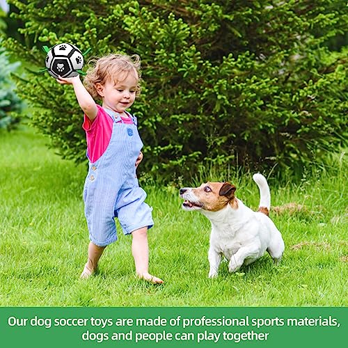 HETOO Dog Toys, Interactive Dog Football Toys with Grab Tabs, Durable Dog Balls for Small Medium Breed Dog Water Toy Indoor & Outdoor, Gift for Dogs