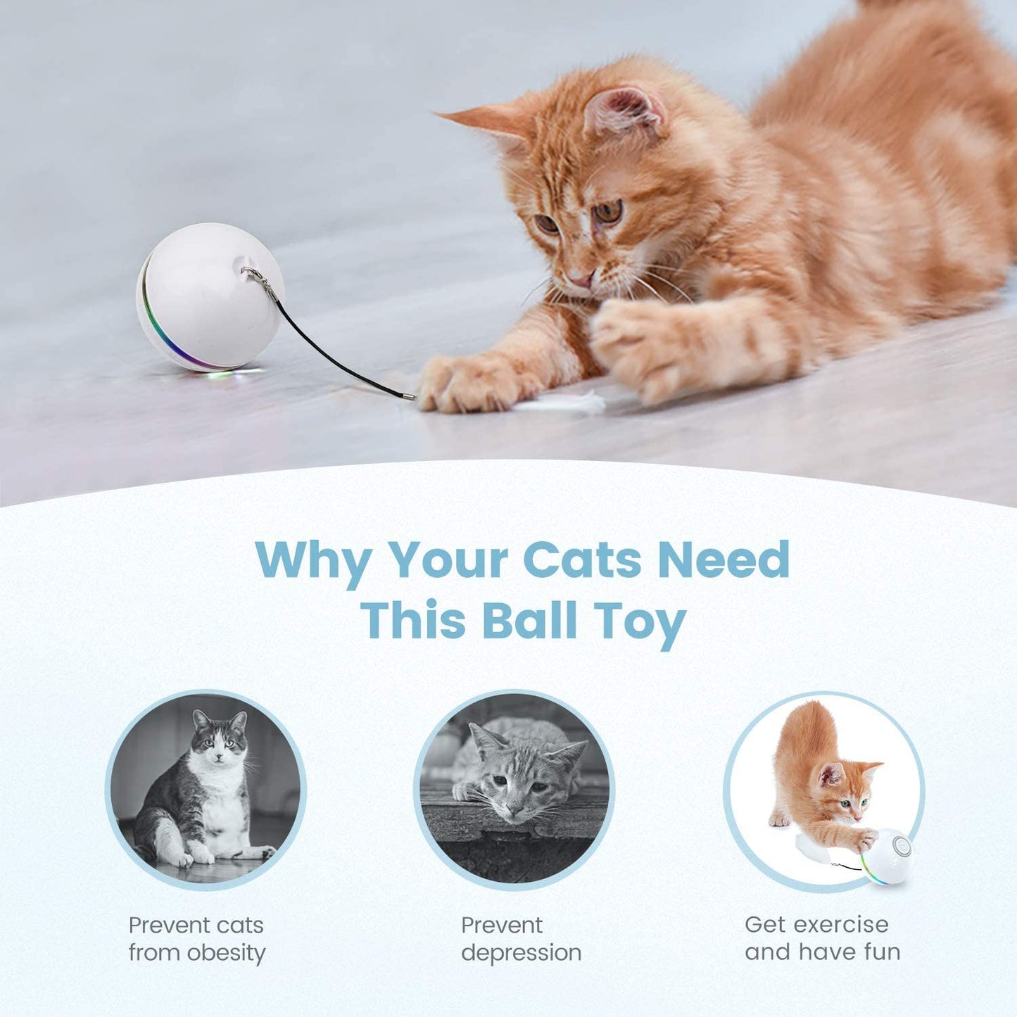 Iokheira Interactive Cat Toys Ball (4th Gen) Wicked Ball for Indoor Cats Adult, Auto 360° Self-Rotating & USB Rechargeable with LED Red Light Toy for Cat Kitten