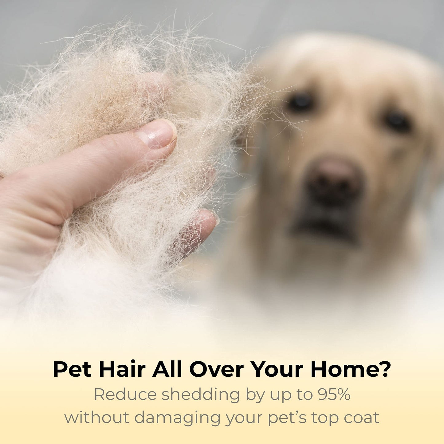 Thunderpaws Best Professional Deshedding Tool and Pet Grooming Brush – D-Shedz for Small, Medium and Large Breeds of Dogs and Cats with Short or Long Hair