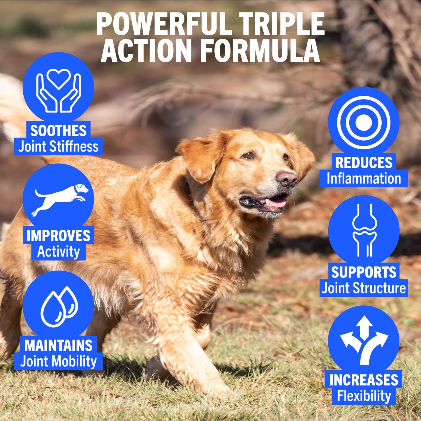 JOINTSURE Joint Support Supplements for Dogs ā 300 Tabs, Aids Stiff Joints, Supports Joint Structure & Maintains Mobility in Adult/Senior Dogs | Advanced Formula Helps Arthritis Relief