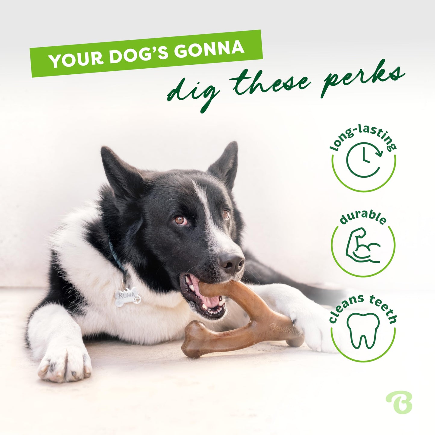 Benebone Indestructible Wishbone Dog Chew Toy for Aggressive Chewers, Long Lasting Tough Boredom Breaker for Dogs, Real Bacon Flavour, For Medium Dogs