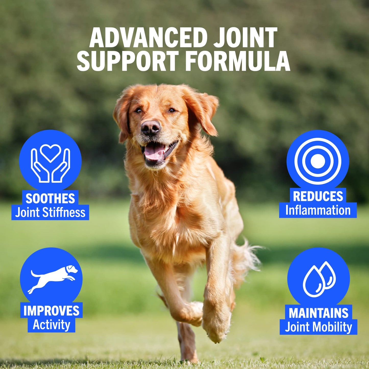 JOINTSURE Joint Support Supplements for Dogs ā 300 Tabs, Aids Stiff Joints, Supports Joint Structure & Maintains Mobility in Adult/Senior Dogs | Advanced Formula Helps Arthritis Relief