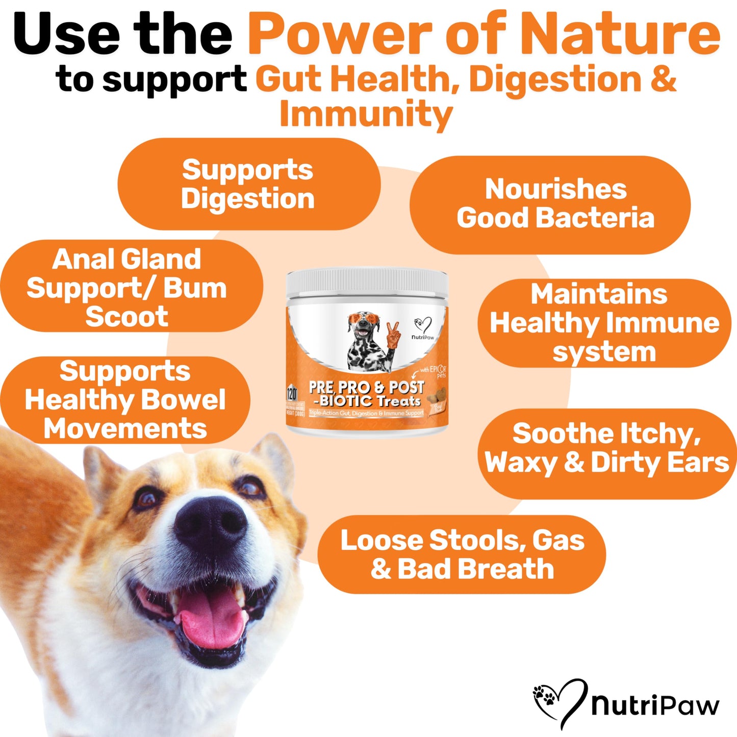 NutriPaw All-Itch Immunity Treats For Dogs - Soothe Itchy Paws, Eyes, Ears, Skin - Stop Itching, Licking, Scratching - Perfect for Small, Medium & Large Dogs - Supports Seasonal Itching