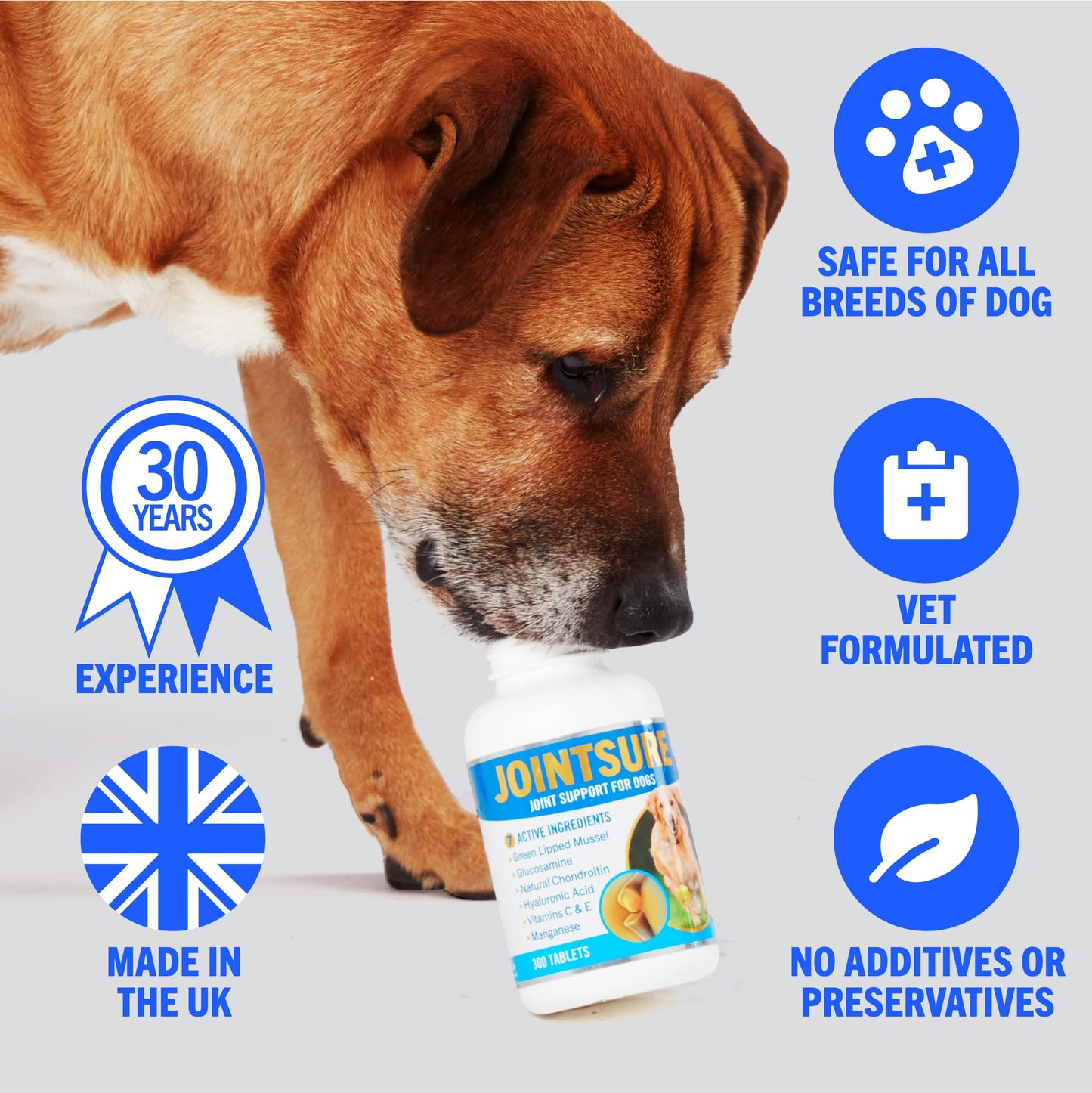JOINTSURE Joint Support Supplements for Dogs ā 300 Tabs, Aids Stiff Joints, Supports Joint Structure & Maintains Mobility in Adult/Senior Dogs | Advanced Formula Helps Arthritis Relief