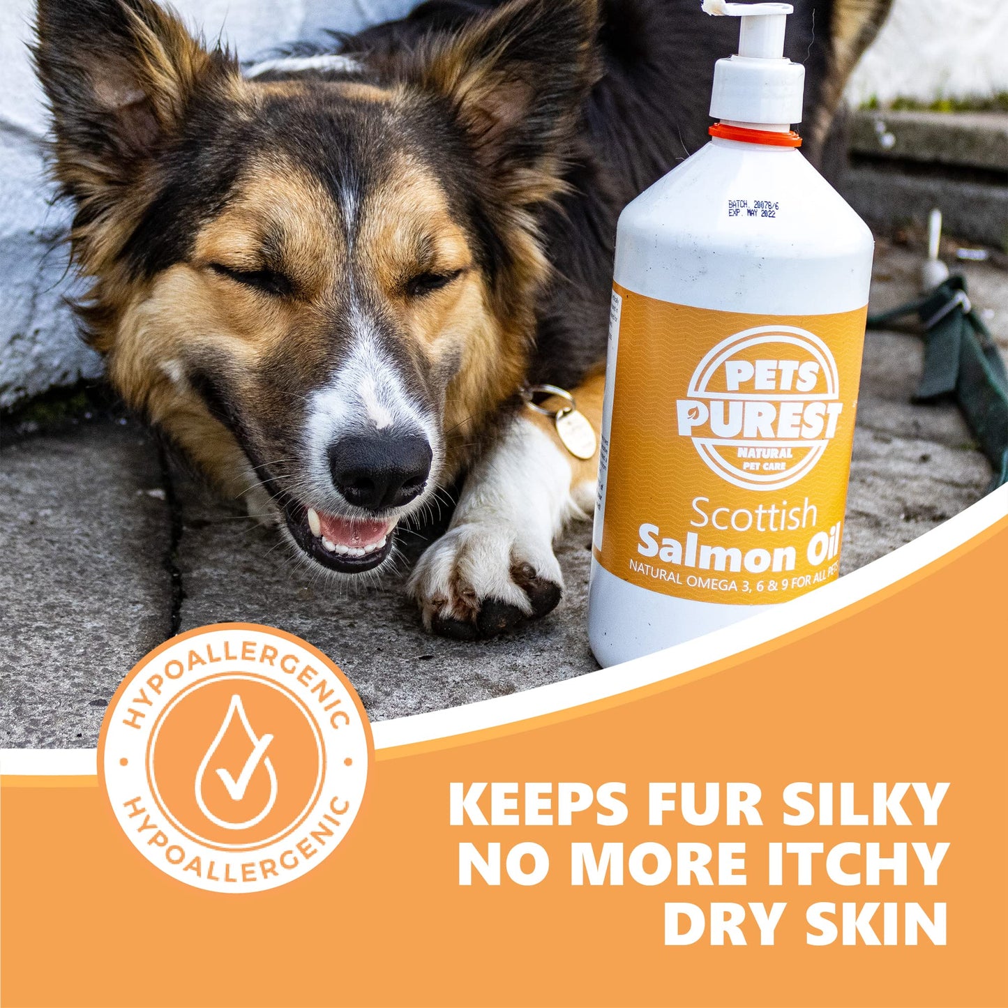 Pets Purest Scottish Salmon Oil For Dogs, Cats, Horse, Ferret & Pet - Pure Omega 3, 6 & 9 Fish Oil Food Treats Supplement for Natural Coat, Immune Support, Itchy Skin, Joint & Brain Health