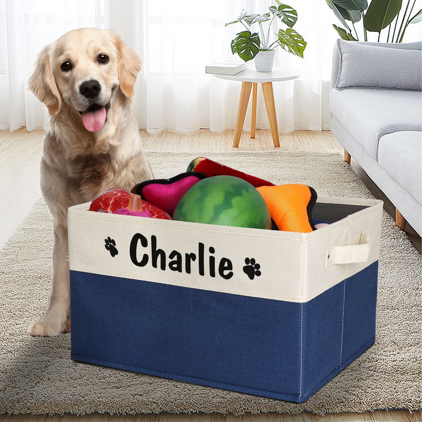 PET ARTIST Personalized Dog Toy Bin for Dog Toys Accessories - Foldable Dog Toy Basket Storage Box for Pet Toys,Dog Coat