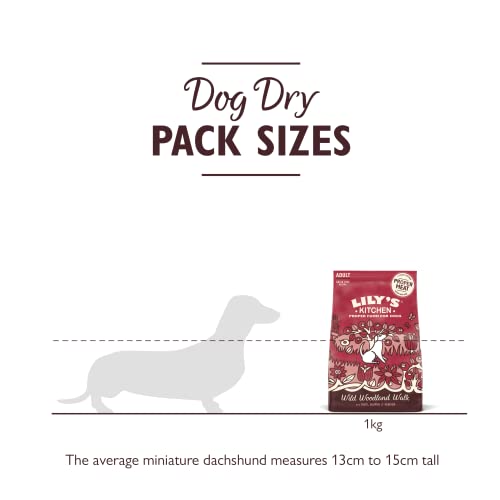 Lily's Kitchen Natural Adult Dry Dog Food Chicken & Duck Grain-Free Recipe