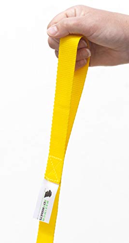 Maximum Pet Products 65ft 20M Dog & Horse Training Lunge Lead. 25mm - 1" Wide. Very Strong