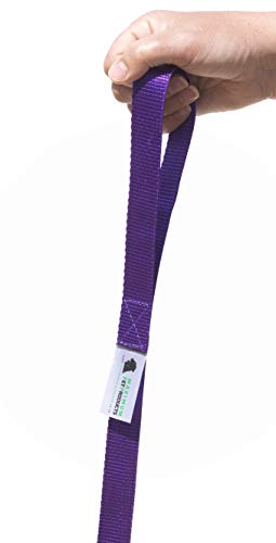 Maximum Pet Products 65ft 20M Dog & Horse Training Lunge Lead. 25mm - 1" Wide. Very Strong