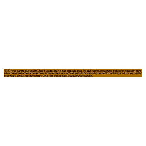 Gourmet Wet Cat Food Pouches in Gravy - Perle Chef's Collection 40 x 85g - Mix of Fish, Lamb, Duck, Turkey, Pet Food - Wet - Bulk Food, Cat Wet Food suitable for Adult and Senior Cats