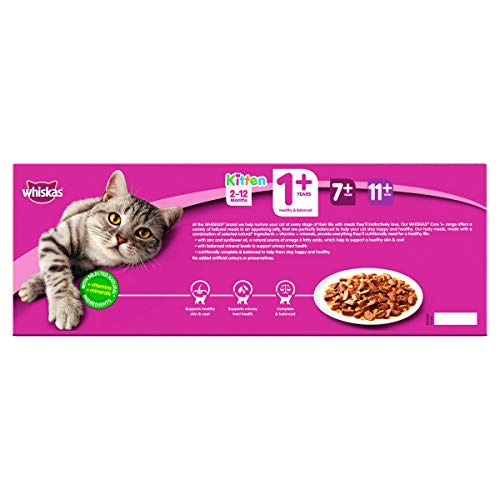 Whiskas 1+ Adult Mixed Selection in Jelly 84 Pouches, Adult Wet Cat Food, Megapack