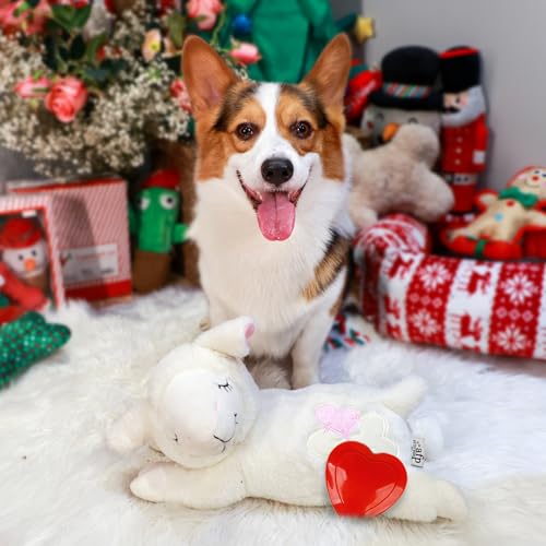 ALL FOR PAWS Heartbeat Dog Toy for Puppy,Snuggle Dog Behavioral Sleep Aid Puppy Toys, Pacifier Calming Behavioral Aid Plush Toy for Dogs