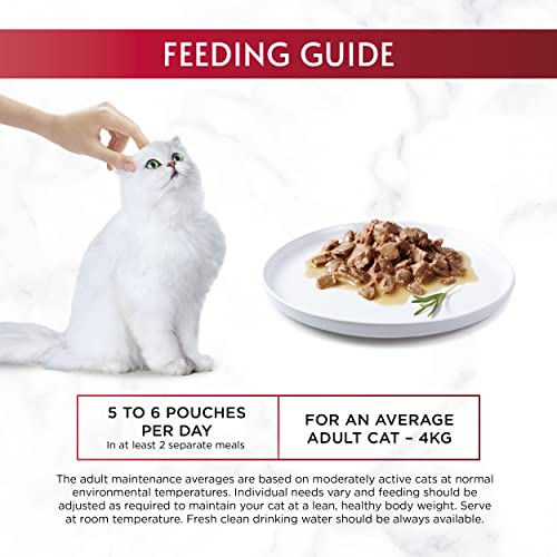 Gourmet Wet Cat Food Pouches in Gravy - Perle Chef's Collection 40 x 85g - Mix of Fish, Lamb, Duck, Turkey, Pet Food - Wet - Bulk Food, Cat Wet Food suitable for Adult and Senior Cats