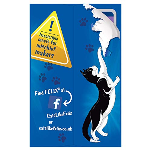 Felix Original 7+ Variety in Jelly Cat Food