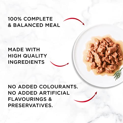 Gourmet Wet Cat Food Pouches in Gravy - Perle Chef's Collection 40 x 85g - Mix of Fish, Lamb, Duck, Turkey, Pet Food - Wet - Bulk Food, Cat Wet Food suitable for Adult and Senior Cats