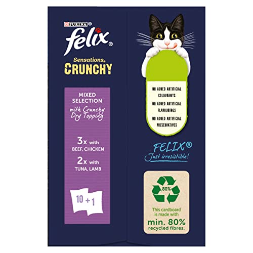 Felix Original 7+ Variety in Jelly Cat Food